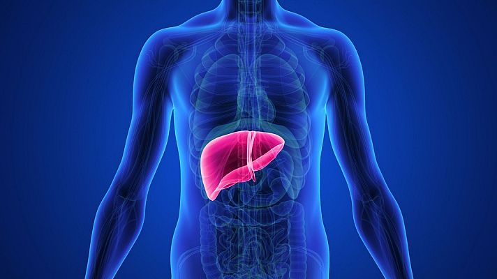 El fármaco que podría ayudar a tratar el cáncer de hígado - A golpe de bit | Escuchar
