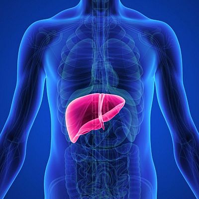 El fármaco que podría ayudar a tratar el cáncer de hígado - A golpe de bit | Escuchar
