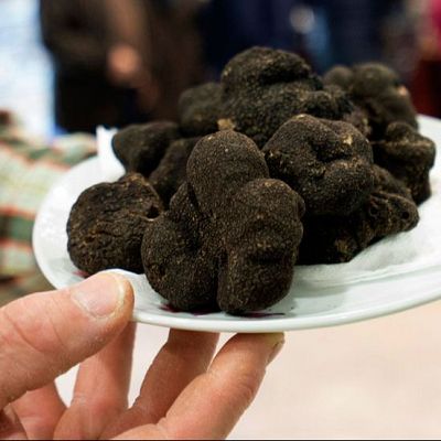 Trufa, setas y torreznos, ruta gourmet por tierras sorianas - En clave Turismo | Escuchar
