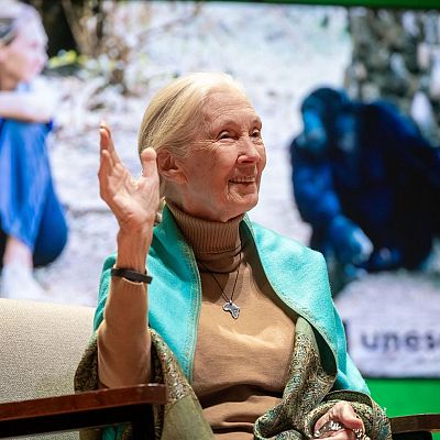 Declarado el 3 de abril como el Día de Jane Goodall - África hoy | Escuchar