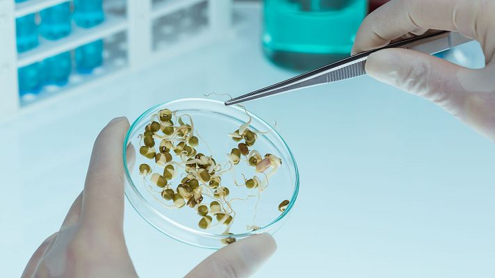 Ciencia y naturaleza: Palencia acoge la cátedra One Health - A golpe de bit | Escuchar