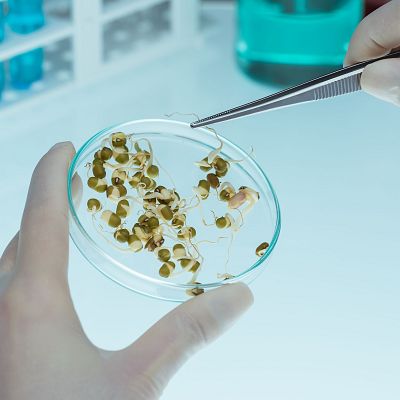 Ciencia y naturaleza: Palencia acoge la cátedra One Health - A golpe de bit | Escuchar