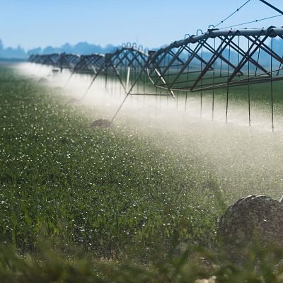Un projet pour optimiser l'eau dans l'agriculture irriguée - Émission en français | Escuchar