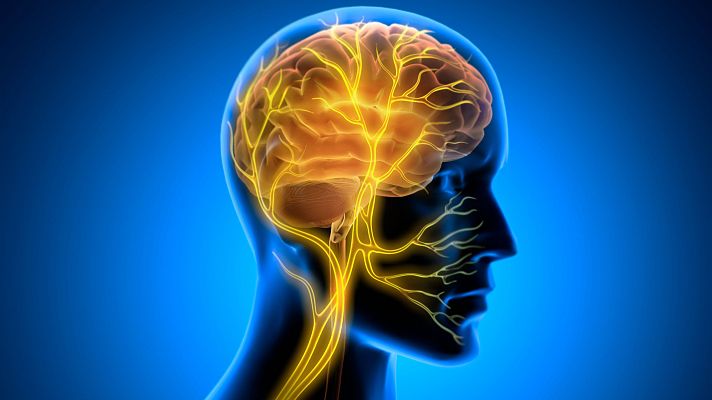 Relación entre cerebro y mente, neuronas y emociones - Marca España | Escuchar