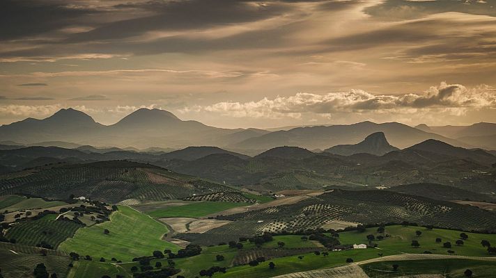 Biodiversidad de la Sierra Sur en la provincia de Sevilla - La Iberia verde | Escuchar