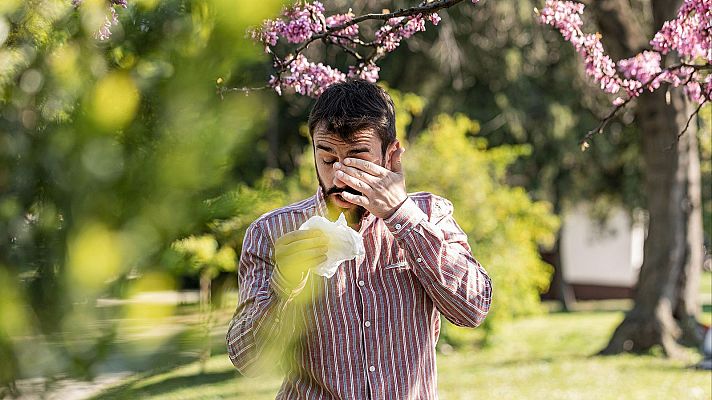 Las temperaturas suavizan las duras previsiones en alergias - A golpe de bit | Escuchar