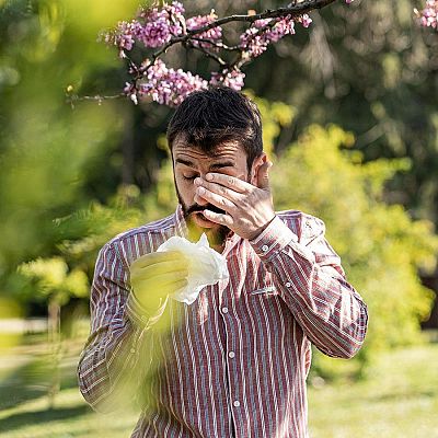 Las temperaturas suavizan las duras previsiones en alergias - A golpe de bit | Escuchar