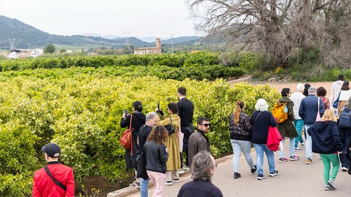 La sala - La 39º Dansa València, con Cristina Reolid, Gustavo Giménez y Rosa Sanz - Escuchar ahora