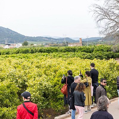 La sala - La 39º Dansa València, con Cristina Reolid, Gustavo Giménez y Rosa Sanz - Escuchar ahora