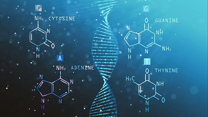 Sapiens - Epigenética con María Berdasco - 20/04/26 - Sapiens | Escuchar