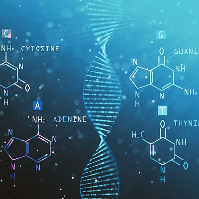 Sapiens - Epigenética con María Berdasco - 20/04/26 - Sapiens | Escuchar