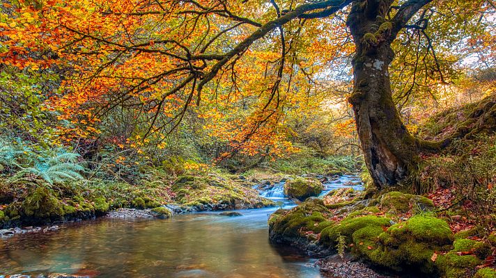 Festival de ecoturismo en Fuentes del Narcea - En clave Turismo | Escuchar