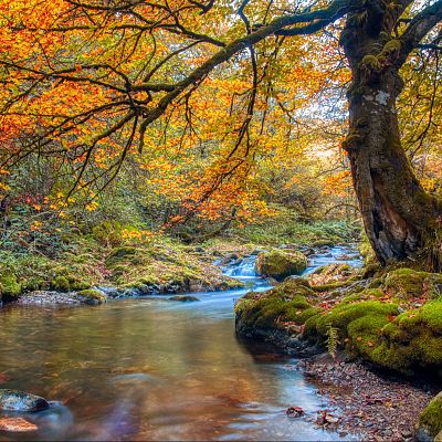 Festival de ecoturismo en Fuentes del Narcea - En clave Turismo | Escuchar