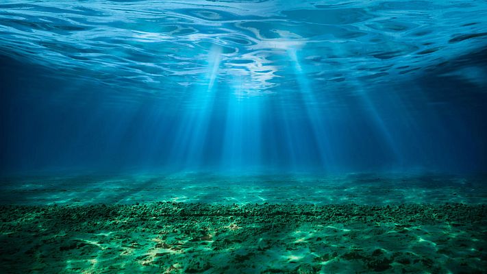 CanBIO, un proyecto para escuchar los mares - Españoles en la mar | Escuchar