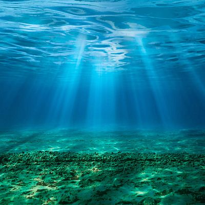 CanBIO, un proyecto para escuchar los mares - Españoles en la mar | Escuchar
