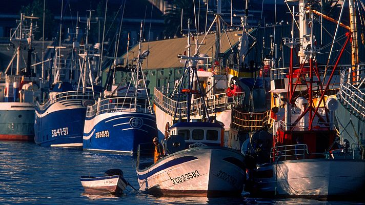 Palangre, el arte más perjudicado por los cierres de caladeros - Españoles en la mar | Escuchar