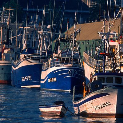 Palangre, el arte más perjudicado por los cierres de caladeros - Españoles en la mar | Escuchar