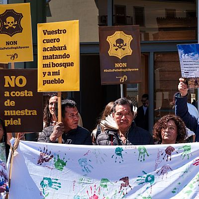 El cuero de lujo europeo que arrasa el Chaco paraguayo - Hora América | Escuchar