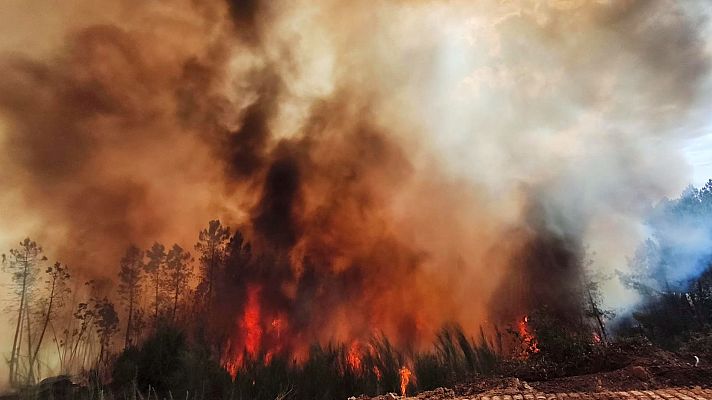 Lecciones aprendidas y retos futuros en incendios forestales - Marca España | Escuchar
