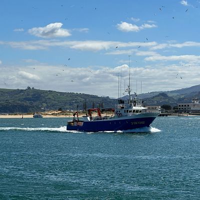 Cepesca exige revisar la gestión pesquera en el Mediterráneo - Españoles en la mar | Escuchar