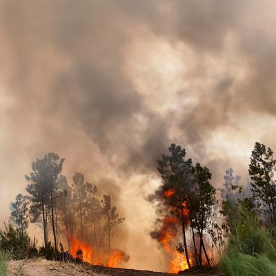 Incendios forestales, PhotoEspaña, viajes sostenibles - Lo mejor de la semana en Radio Exterior de España | Escuchar