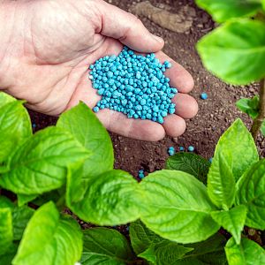 Fin de mes - Fin de mes - El precio de los fertilizantes en el punto de mira - Escuchar ahora