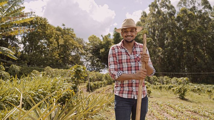 OEI impulsa transición verde en pequeñas y medianas empresas - Espacio iberoamericano | Escuchar