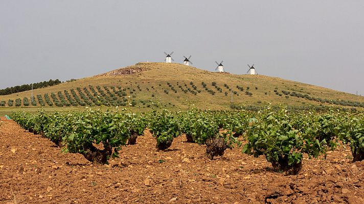 Enoturismo en La Mancha, el valor de lo auténtico - En clave Turismo | Escuchar