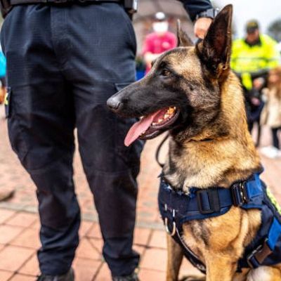 La visita del Papa, León XIV a España. El despliegue policial, la unidad canina - Escuchar ahora