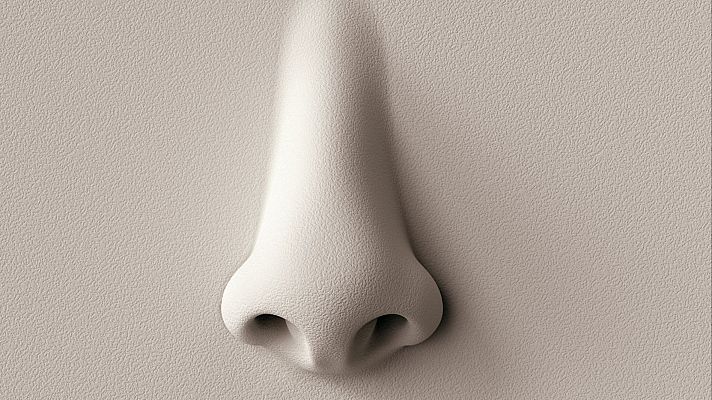'El fascinante mundo del olfato', con Laura López-Mascaraque - Sapiens | Escuchar