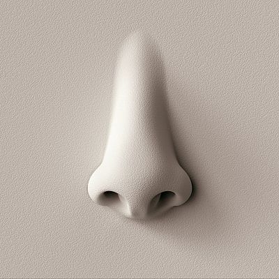 'El fascinante mundo del olfato', con Laura López-Mascaraque - Sapiens | Escuchar