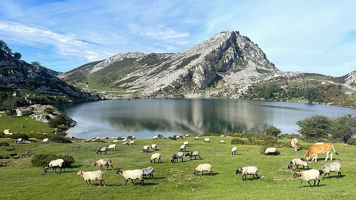 El Parque Nacional de los Picos de Europa en Asturias - La Iberia verde | Escuchar