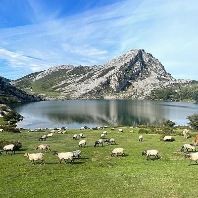 El Parque Nacional de los Picos de Europa en Asturias - La Iberia verde | Escuchar