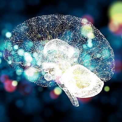 Reprogramar las defensas del cerebro contra el alzhéimer - A golpe de bit | Escuchar