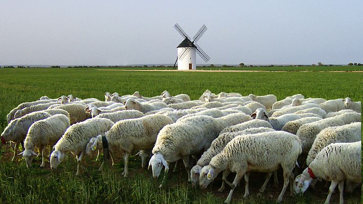 Marca España  - La Mancha: patrimonio gastronómico y valor en el mundo rural - 08/07/26 - Marca España | Escuchar