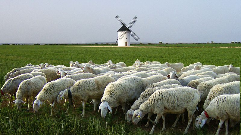 Marca España – La Mancha: patrimonio gastronómico y valor en el mundo rural