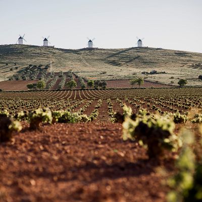 Marca España  - La Mancha: patrimonio gastronómico y valor en el mundo rural - 08/07/26 - Marca España | Escuchar