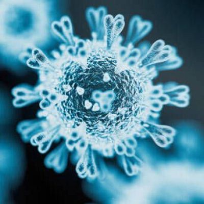 Epidemias: la convivencia de virus y ecosistemas - A golpe de bit | Escuchar