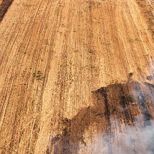 Mundo rural - Mundo rural - Impactos de las olas de calor y los incendios en la agricultura - 15/07/26 - Escuchar ahora