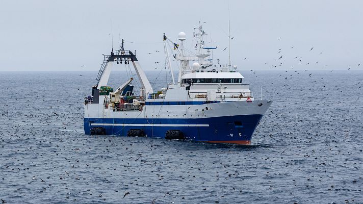 Tecnología española para una pesca más sostenible en Belice - Españoles en la mar | Escuchar
