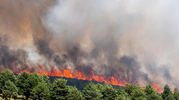 Incendio de la sierra norte de Guadalajara: \"Ha sido salvaje\" - Las mañanas de RNE | Escuchar