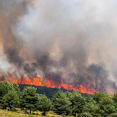 Incendio de la sierra norte de Guadalajara: \"Ha sido salvaje\" - Las mañanas de RNE | Escuchar