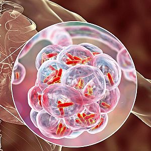Marca España - Marca España. A Ciencia Cierta. Vacuna contra la tuberculosis 08/10/26