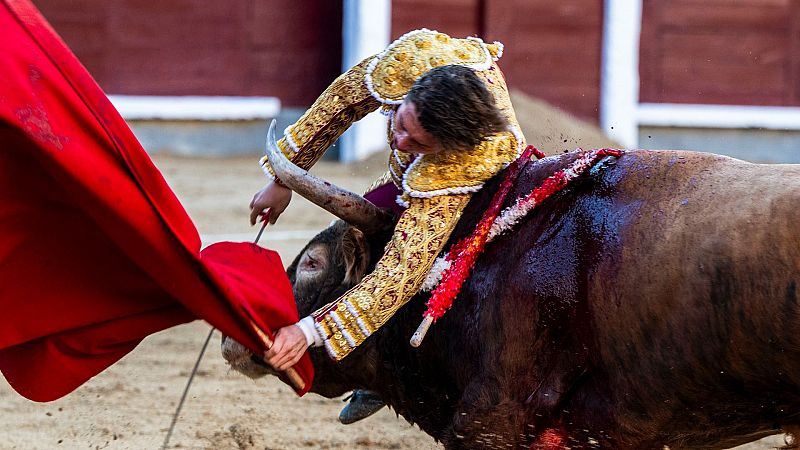 Clarín: Una cornada frustra la encerrona de Álvaro Serrano en la Feria ...