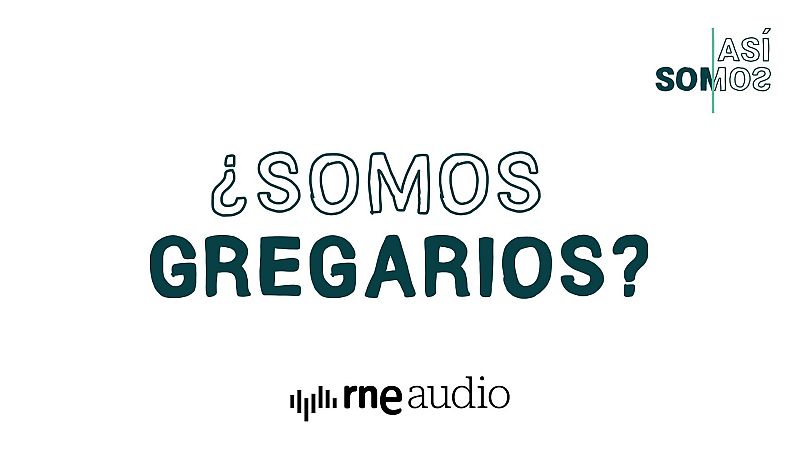 Así somos: ¿Somos gregarios? - Capítulo 4 | Escuchar podcast