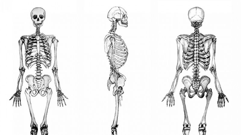 Ciencia al cubo - Un exoesqueleto español para caminar  - 22/02/15 - Escuchar ahora