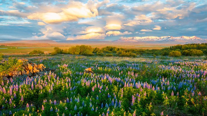 Música y significado - STRAVINSKY: La Consagración de la Primavera - 27/03/15 - escuchar ahora