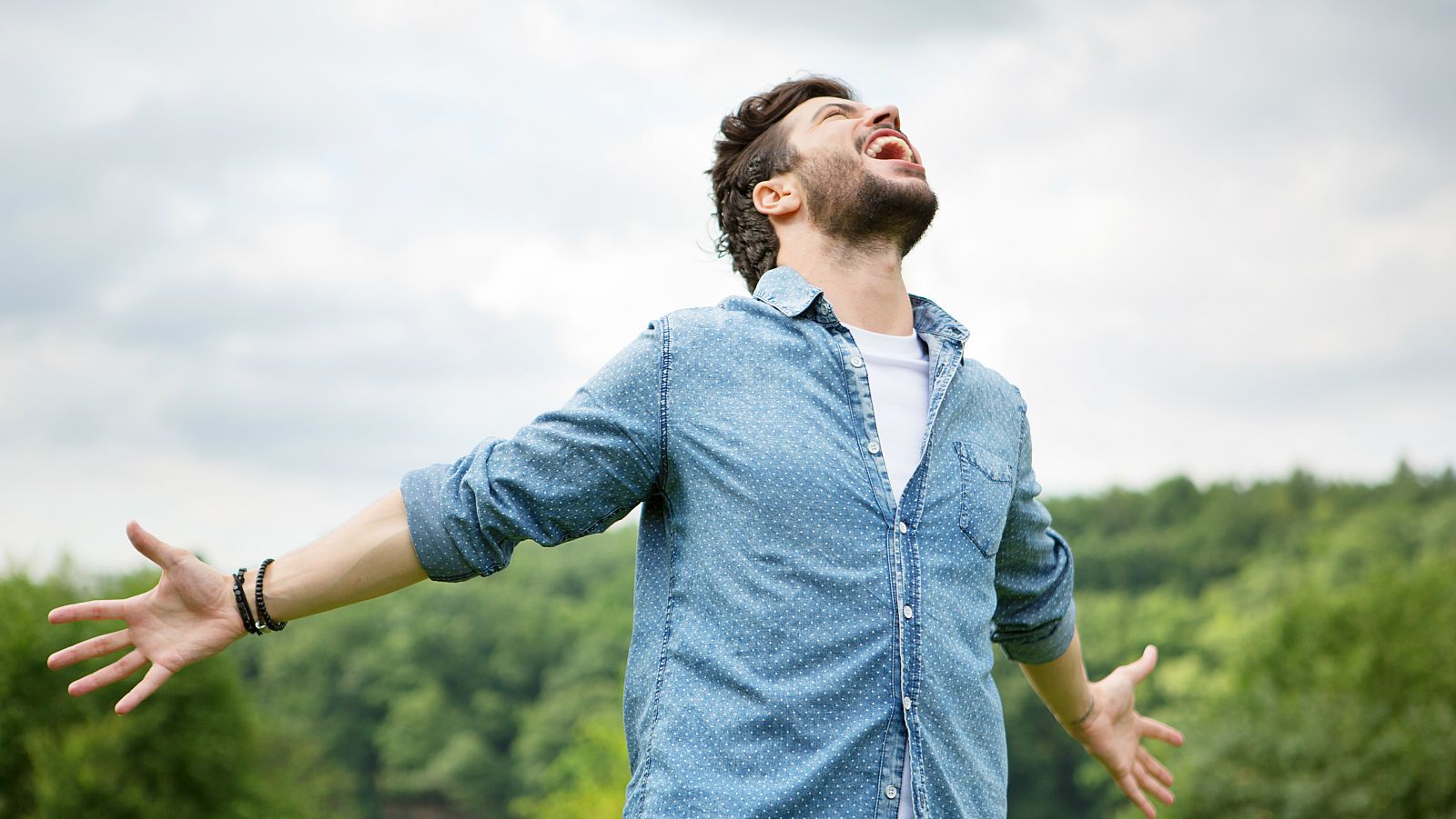 El canto del grillo - ¿Cómo afrontar los problemas de la vida? - Escuchar ahora