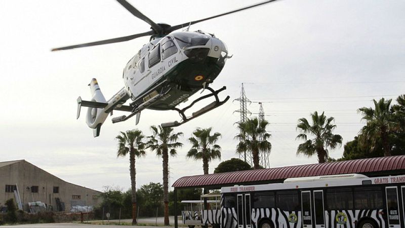 Radio 5 Actualidad - Aparece muerto Adán, el chimpancé fugado de Mallorca - Escuchar ahora