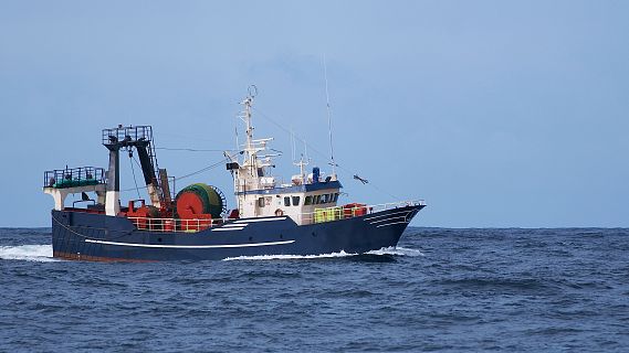 Españoles en la mar